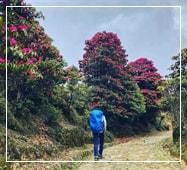 sandakphu-tour-package